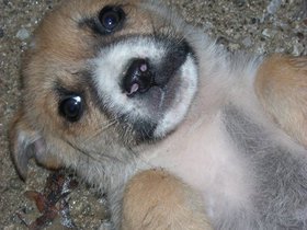 09-0216 ODTÜ (3).JPG